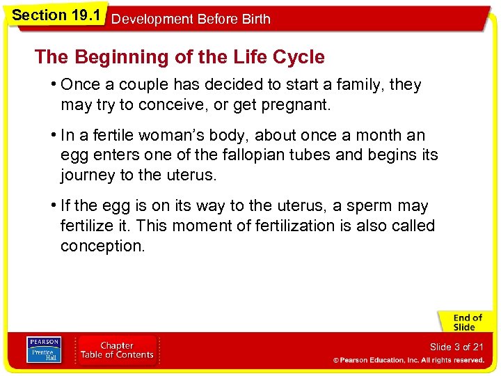 Section 19. 1 Development Before Birth The Beginning of the Life Cycle • Once