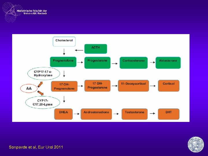 Sonpavde et al, Eur Urol 2011 