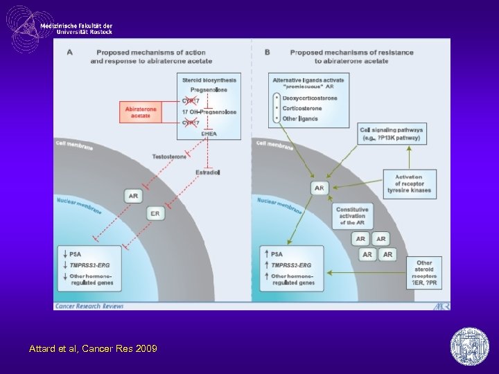 Attard et al, Cancer Res 2009 