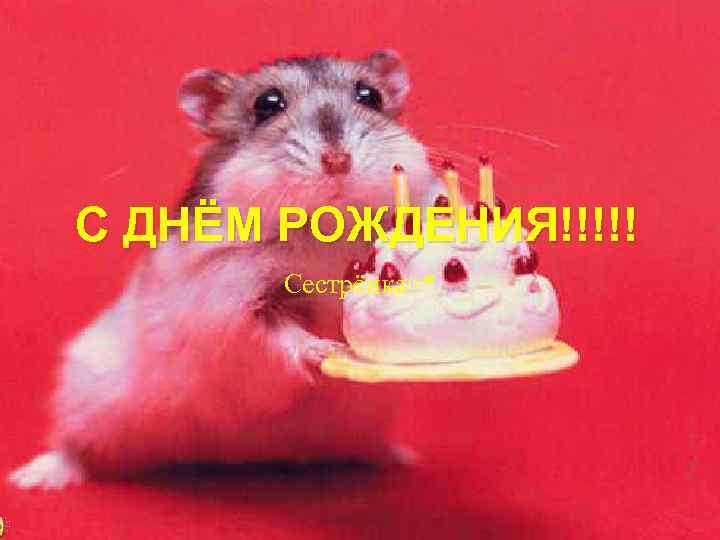 С ДНЁМ РОЖДЕНИЯ!!!!! Сестрёнка=* 