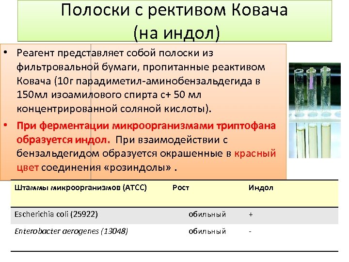 Д ректива ст пендия д ван