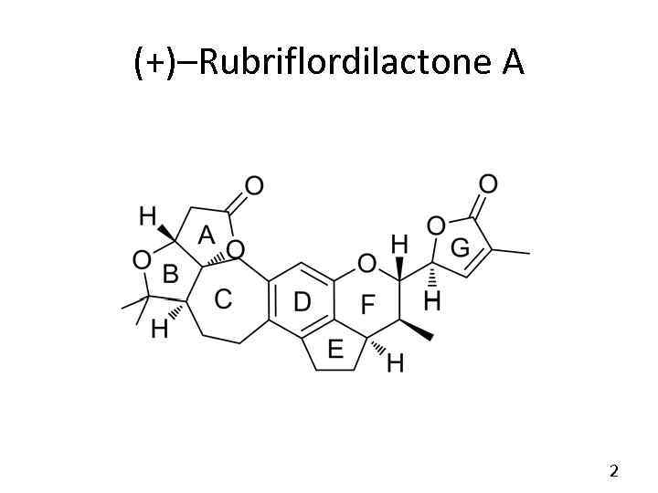 (+)–Rubriflordilactone A 2 