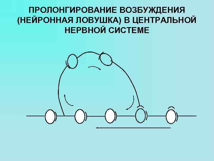 ПРОЛОНГИРОВАНИЕ ВОЗБУЖДЕНИЯ (НЕЙРОННАЯ ЛОВУШКА) В ЦЕНТРАЛЬНОЙ НЕРВНОЙ СИСТЕМЕ 