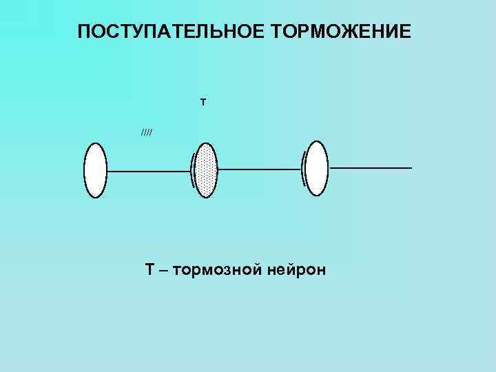 ПОСТУПАТЕЛЬНОЕ ТОРМОЖЕНИЕ T //// Т – тормозной нейрон 