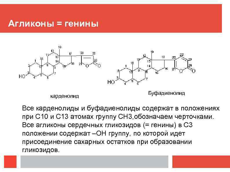 Агликоны = генины карденолид Буфадиенолид Все карденолиды и буфадиенолиды содержат в положениях при С