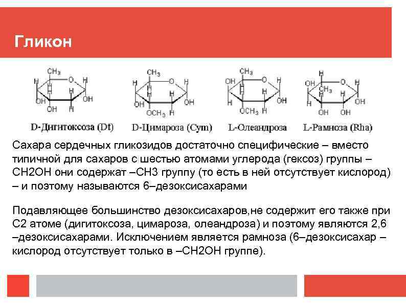 Гликон Сахара сердечных гликозидов достаточно специфические – вместо типичной для сахаров с шестью атомами