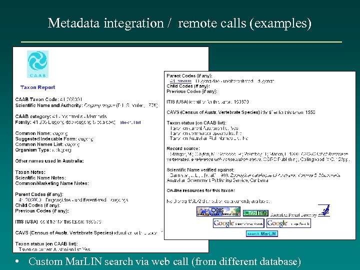 Metadata integration / remote calls (examples) • Custom Mar. LIN search via web call
