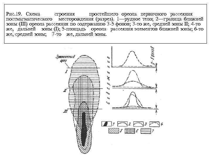 Рис. 19. Схема строения простейшего ореола первичного рассеяния постмагматического месторождения (разрез). 1—рудное тело; 2—граница