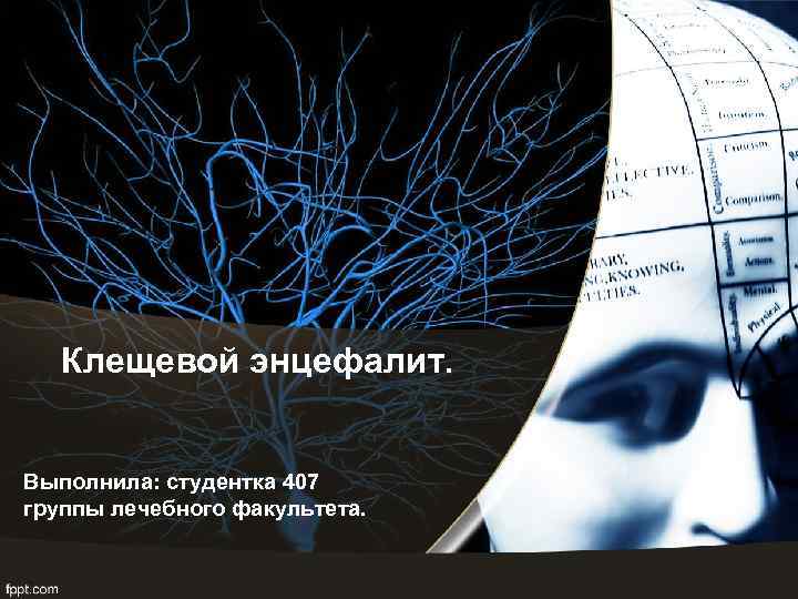 Клещевой энцефалит. Выполнила: студентка 407 группы лечебного факультета. 