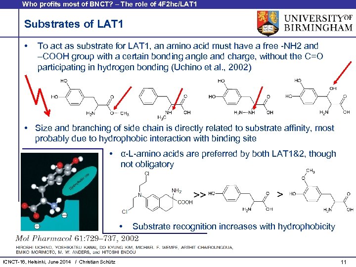 Who profits most of BNCT? – The role of 4 F 2 hc/LAT 1