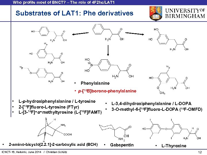 Who profits most of BNCT? – The role of 4 F 2 hc/LAT 1