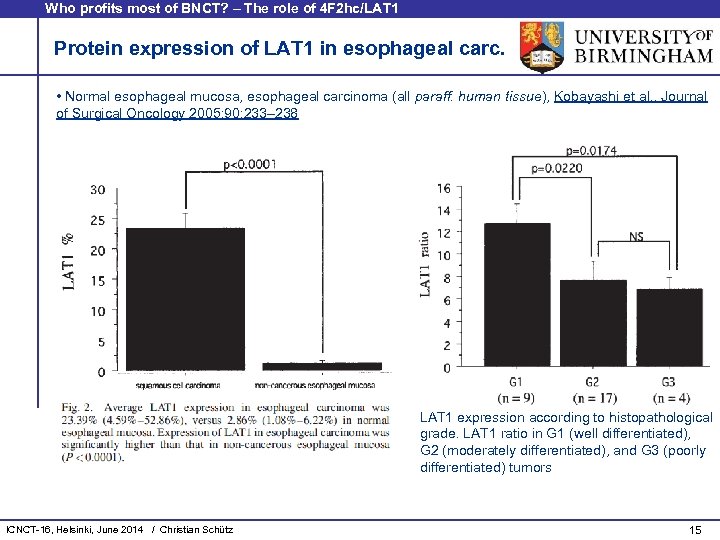 Who profits most of BNCT? – The role of 4 F 2 hc/LAT 1