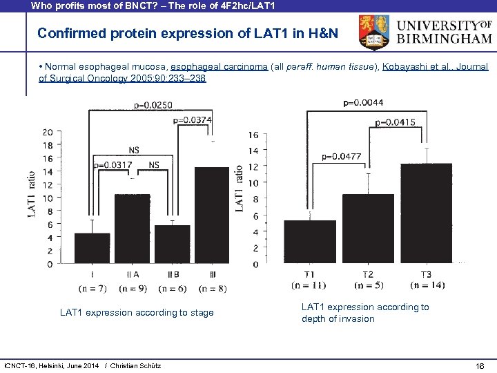 Who profits most of BNCT? – The role of 4 F 2 hc/LAT 1
