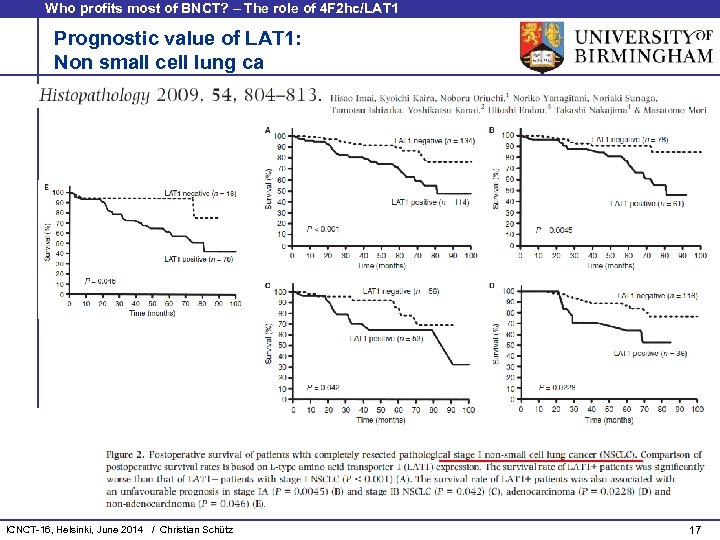 Who profits most of BNCT? – The role of 4 F 2 hc/LAT 1