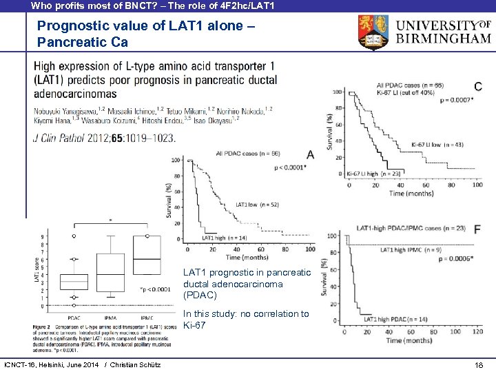 Who profits most of BNCT? – The role of 4 F 2 hc/LAT 1