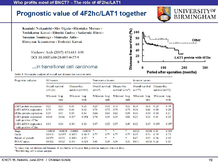 Who profits most of BNCT? – The role of 4 F 2 hc/LAT 1