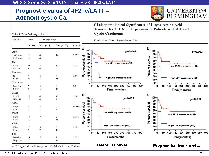 Who profits most of BNCT? – The role of 4 F 2 hc/LAT 1