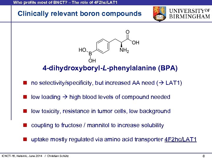 Who profits most of BNCT? – The role of 4 F 2 hc/LAT 1
