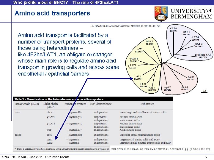 Who profits most of BNCT? – The role of 4 F 2 hc/LAT 1