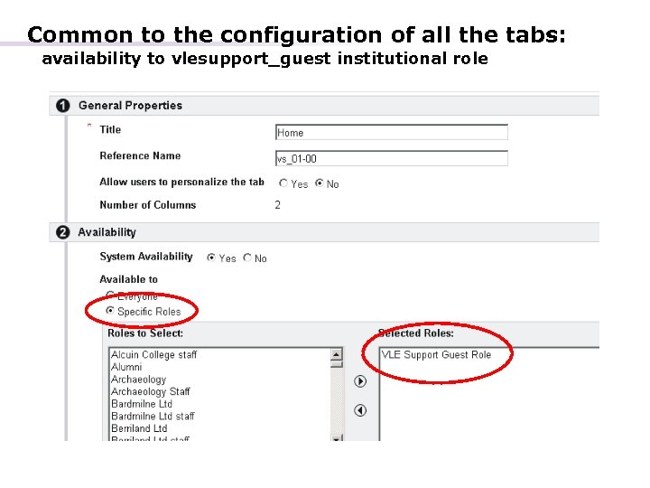 Common to the configuration of all the tabs: availability to vlesupport_guest institutional role 