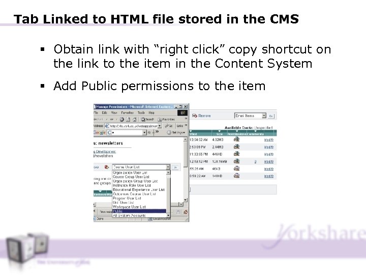 Tab Linked to HTML file stored in the CMS § Obtain link with “right