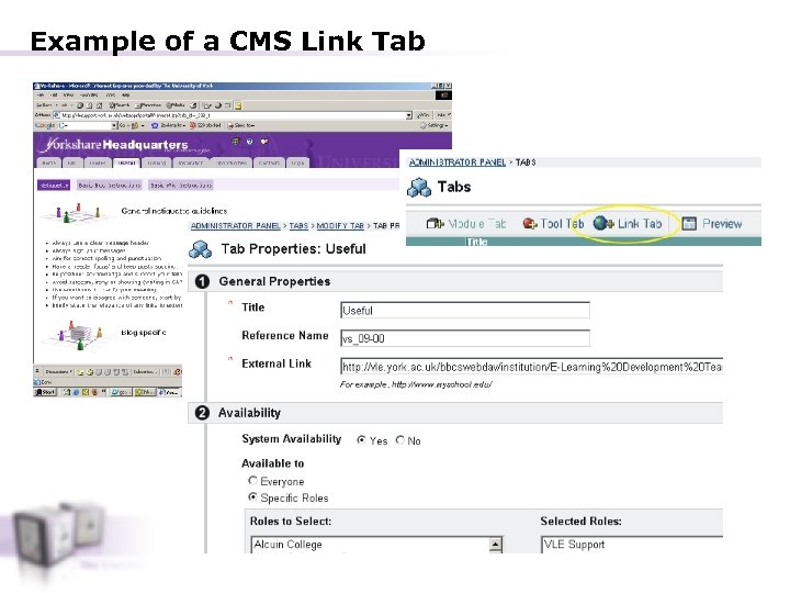 Example of a CMS Link Tab 