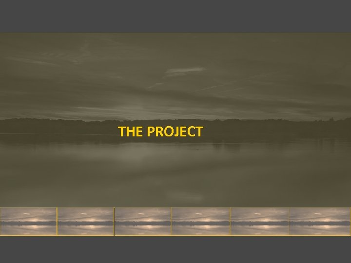 THE PROJECT 