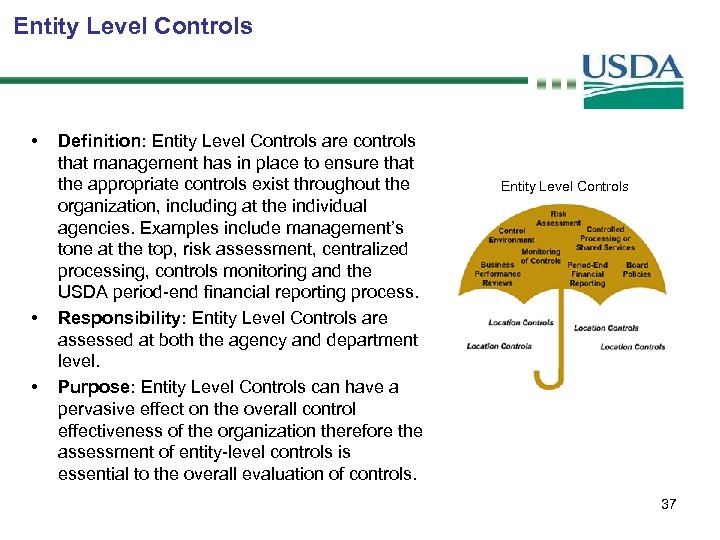 Entity Level Controls • • • Definition: Entity Level Controls are controls that management