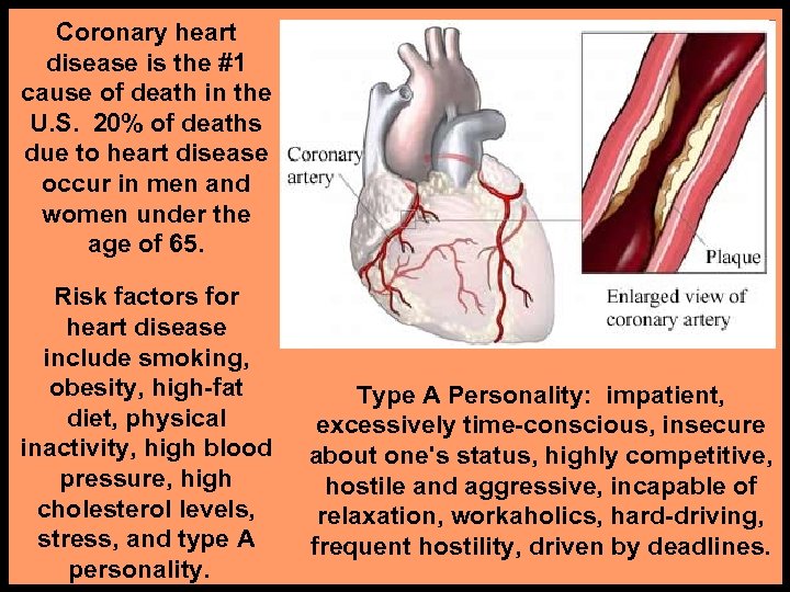 Coronary heart disease is the #1 cause of death in the U. S. 20%