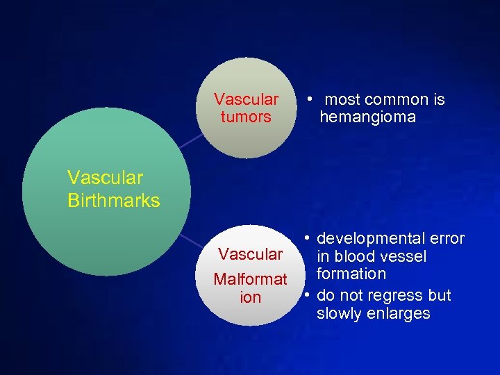 Vascular tumors • most common is hemangioma Vascular Birthmarks • developmental error Vascular in