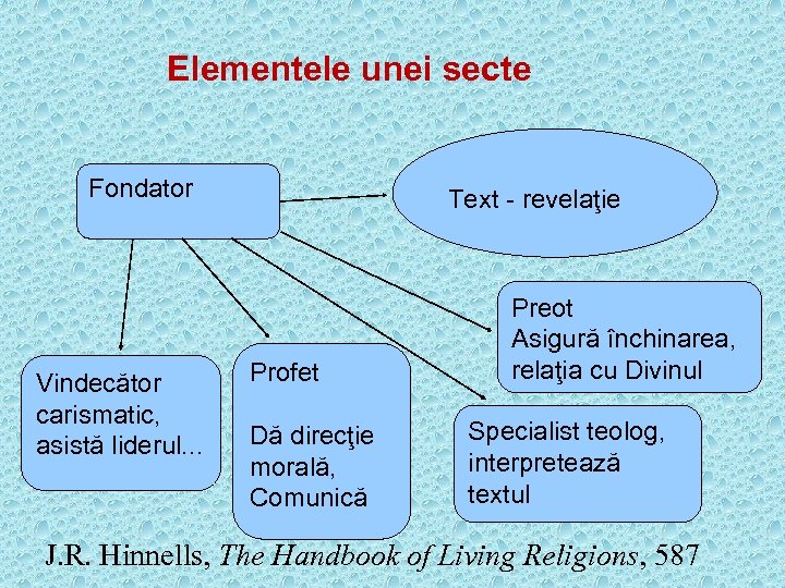 Elementele unei secte Fondator Vindecător carismatic, asistă liderul. . . Text - revelaţie Profet