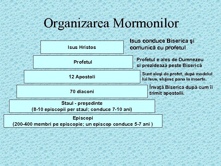 Organizarea Mormonilor Isus Hristos Isus conduce Biserica şi comunică cu profetul Profetul e ales