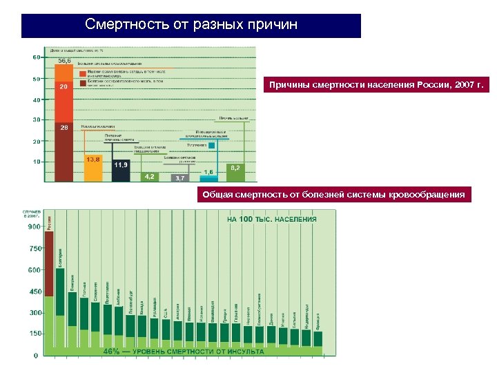 Смертность от разных причин Причины смертности населения России, 2007 г. Общая смертность от болезней