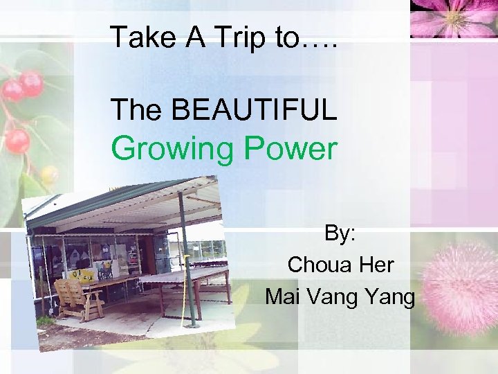 Take A Trip to…. The BEAUTIFUL Growing Power By: Choua Her Mai Vang Yang