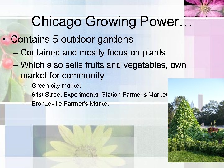 Chicago Growing Power… • Contains 5 outdoor gardens – Contained and mostly focus on