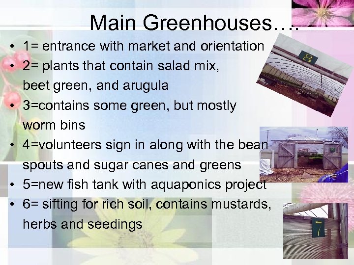 Main Greenhouses…. • 1= entrance with market and orientation • 2= plants that contain