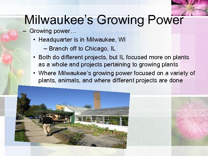 Milwaukee’s Growing Power – Growing power… • Headquarter is in Milwaukee, WI – Branch