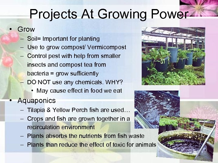 Projects At Growing Power • Grow – Soil= Important for planting – Use to