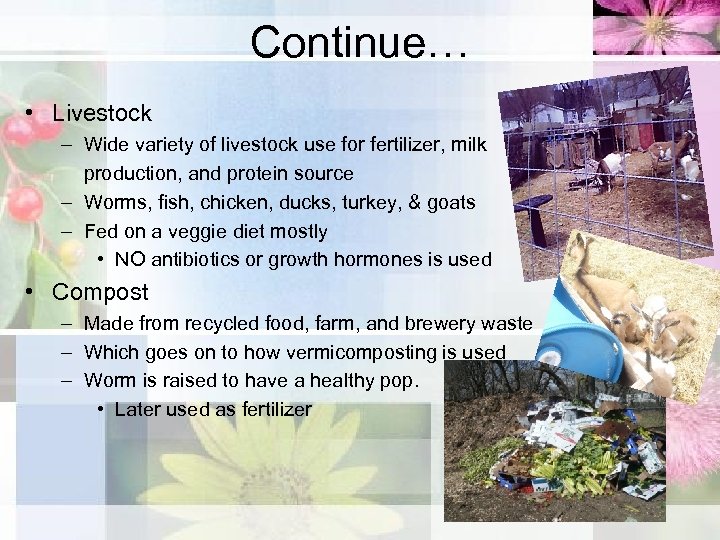 Continue… • Livestock – Wide variety of livestock use for fertilizer, milk production, and