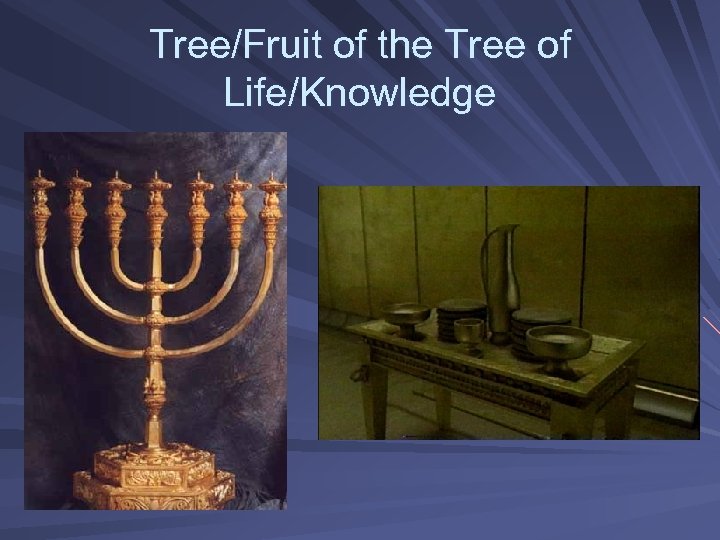 Tree/Fruit of the Tree of Life/Knowledge 