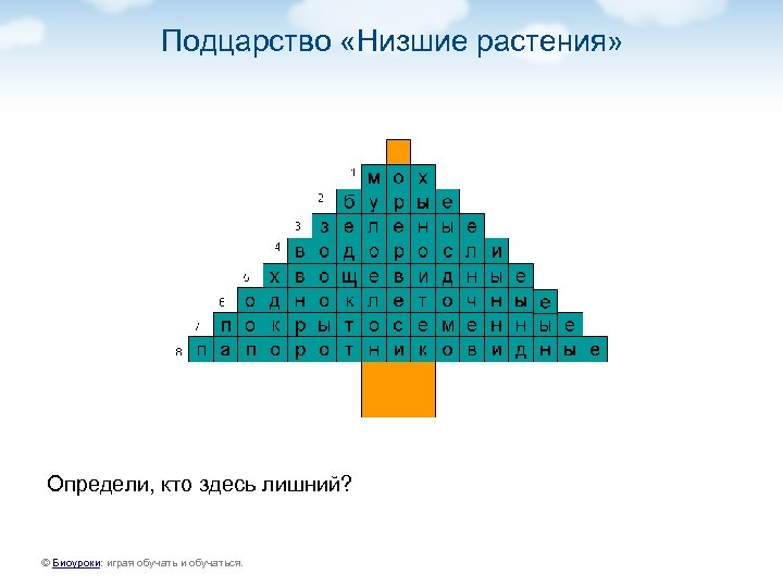 Подцарство «Низшие растения» Определи, кто здесь лишний? © Биоуроки: играя обучать и обучаться. 