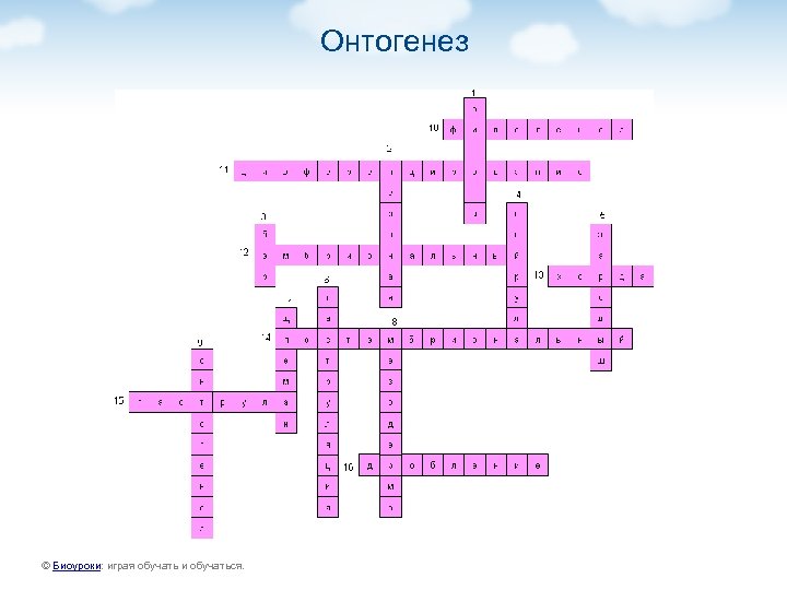 Онтогенез © Биоуроки: играя обучать и обучаться. 