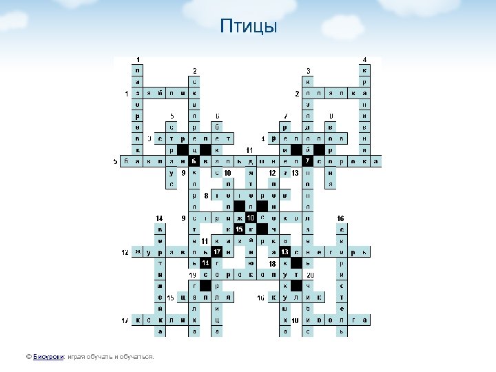 Птицы © Биоуроки: играя обучать и обучаться. 