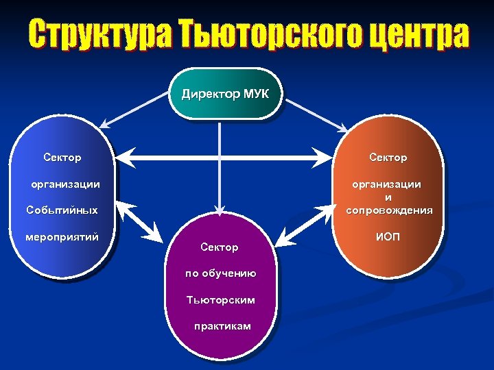 Директор МУК Сектор организации Событийных организации и сопровождения мероприятий ИОП Сектор по обучению Тьюторским