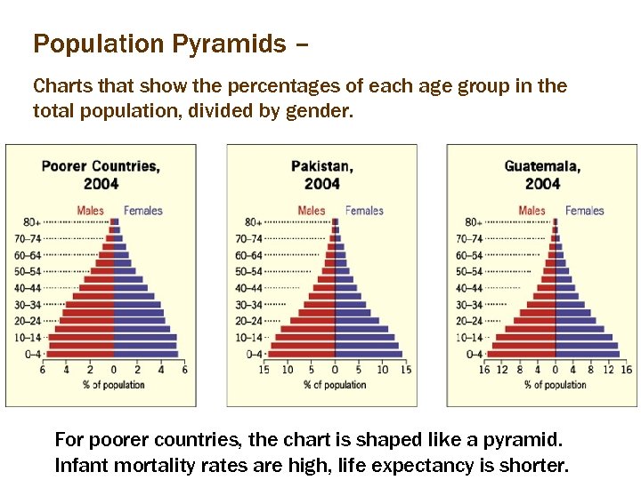 Population Pyramids – Charts that show the percentages of each age group in the