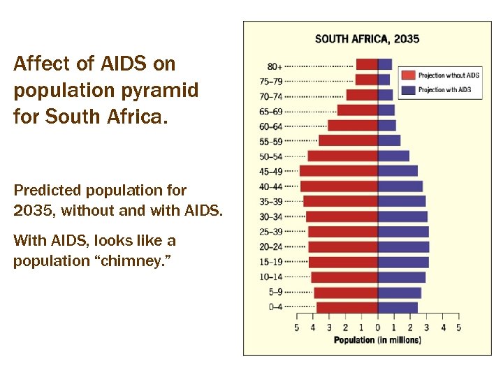 Affect of AIDS on population pyramid for South Africa. Predicted population for 2035, without