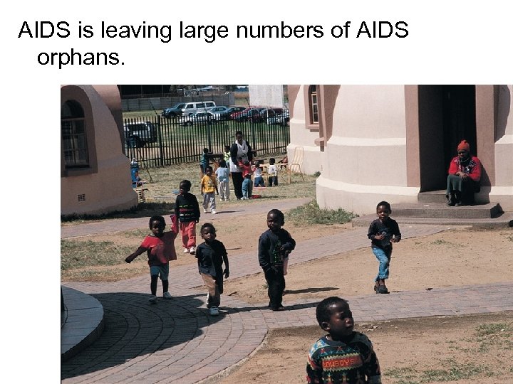 AIDS is leaving large numbers of AIDS orphans. 