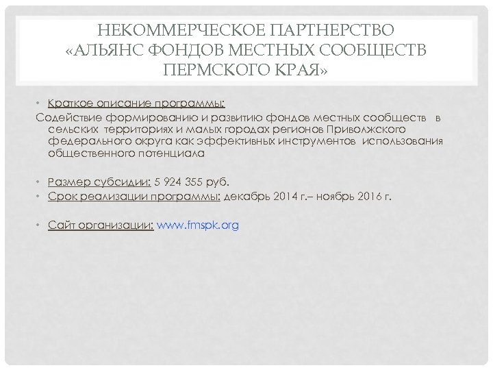 НЕКОММЕРЧЕСКОЕ ПАРТНЕРСТВО «АЛЬЯНС ФОНДОВ МЕСТНЫХ СООБЩЕСТВ ПЕРМСКОГО КРАЯ» • Краткое описание программы: Содействие формированию