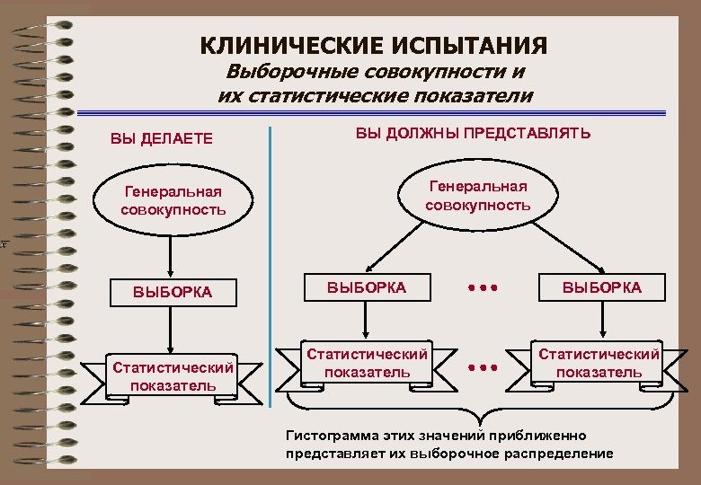 КЛИНИЧЕСКИЕ ИСПЫТАНИЯ Выборочные совокупности и их статистические показатели ВЫ ДЕЛАЕТЕ ВЫ ДОЛЖНЫ ПРЕДСТАВЛЯТЬ Генеральная