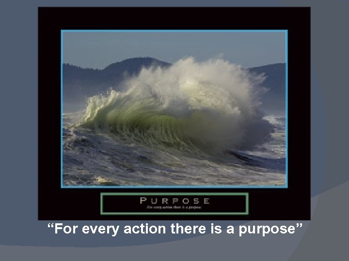 “For every action there is a purpose” 